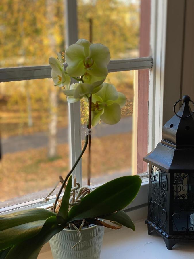 Ting1903 Bed & Breakfast Avesta Kültér fotó